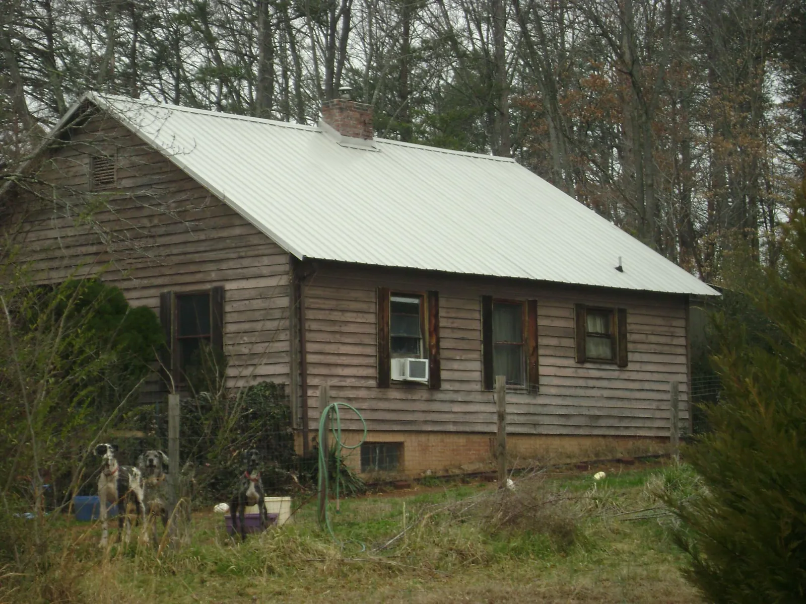 White metal roof on an old wood sided farmhouse, from a Asphalt Shingle Roof Repair job in Mendon